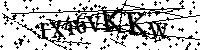 Por favor, introduzca las letras y los numeros de la imagen