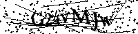 Por favor, introduzca las letras y los numeros de la imagen