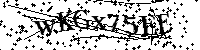 Por favor, introduzca las letras y los numeros de la imagen
