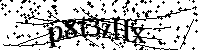 Por favor, introduzca las letras y los numeros de la imagen