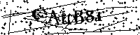 Por favor, introduzca las letras y los numeros de la imagen