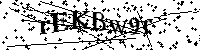 Por favor, introduzca las letras y los numeros de la imagen