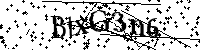 Por favor, introduzca las letras y los numeros de la imagen