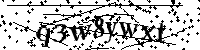 Por favor, introduzca las letras y los numeros de la imagen