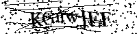 Por favor, introduzca las letras y los numeros de la imagen