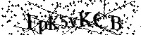 Por favor, introduzca las letras y los numeros de la imagen