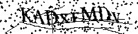 Por favor, introduzca las letras y los numeros de la imagen