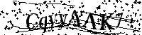 Por favor, introduzca las letras y los numeros de la imagen