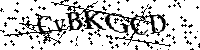 Por favor, introduzca las letras y los numeros de la imagen