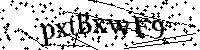 Por favor, introduzca las letras y los numeros de la imagen