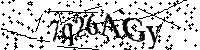 Por favor, introduzca las letras y los numeros de la imagen