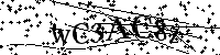 Por favor, introduzca las letras y los numeros de la imagen
