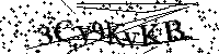 Por favor, introduzca las letras y los numeros de la imagen