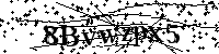 Por favor, introduzca las letras y los numeros de la imagen