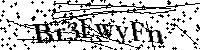 Por favor, introduzca las letras y los numeros de la imagen