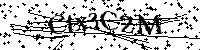 Por favor, introduzca las letras y los numeros de la imagen