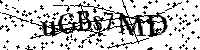 Por favor, introduzca las letras y los numeros de la imagen
