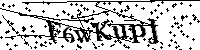Por favor, introduzca las letras y los numeros de la imagen