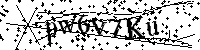 Por favor, introduzca las letras y los numeros de la imagen