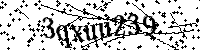 Por favor, introduzca las letras y los numeros de la imagen