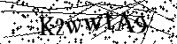 Por favor, introduzca las letras y los numeros de la imagen