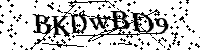 Por favor, introduzca las letras y los numeros de la imagen