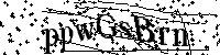 Por favor, introduzca las letras y los numeros de la imagen