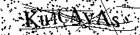 Por favor, introduzca las letras y los numeros de la imagen