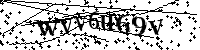 Por favor, introduzca las letras y los numeros de la imagen