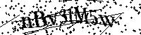 Por favor, introduzca las letras y los numeros de la imagen