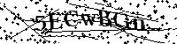 Por favor, introduzca las letras y los numeros de la imagen