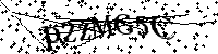 Por favor, introduzca las letras y los numeros de la imagen
