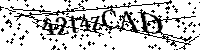 Por favor, introduzca las letras y los numeros de la imagen