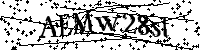 Por favor, introduzca las letras y los numeros de la imagen