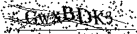 Por favor, introduzca las letras y los numeros de la imagen