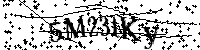 Por favor, introduzca las letras y los numeros de la imagen