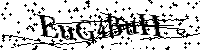 Por favor, introduzca las letras y los numeros de la imagen