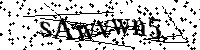 Por favor, introduzca las letras y los numeros de la imagen