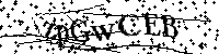 Por favor, introduzca las letras y los numeros de la imagen