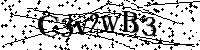 Por favor, introduzca las letras y los numeros de la imagen