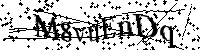 Por favor, introduzca las letras y los numeros de la imagen