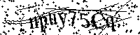 Por favor, introduzca las letras y los numeros de la imagen