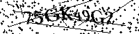 Por favor, introduzca las letras y los numeros de la imagen
