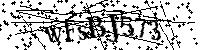 Por favor, introduzca las letras y los numeros de la imagen