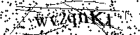 Por favor, introduzca las letras y los numeros de la imagen