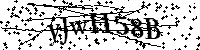 Por favor, introduzca las letras y los numeros de la imagen