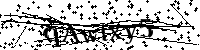 Por favor, introduzca las letras y los numeros de la imagen