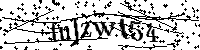 Por favor, introduzca las letras y los numeros de la imagen