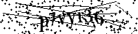 Por favor, introduzca las letras y los numeros de la imagen