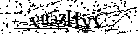 Por favor, introduzca las letras y los numeros de la imagen